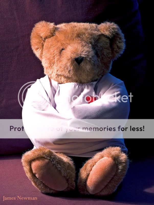 crazybear.jpg