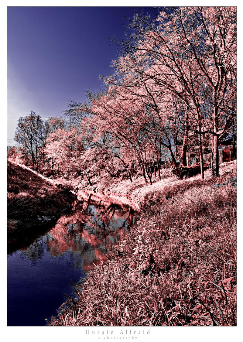 InfraRed_creek_by_bad95killer.jpg