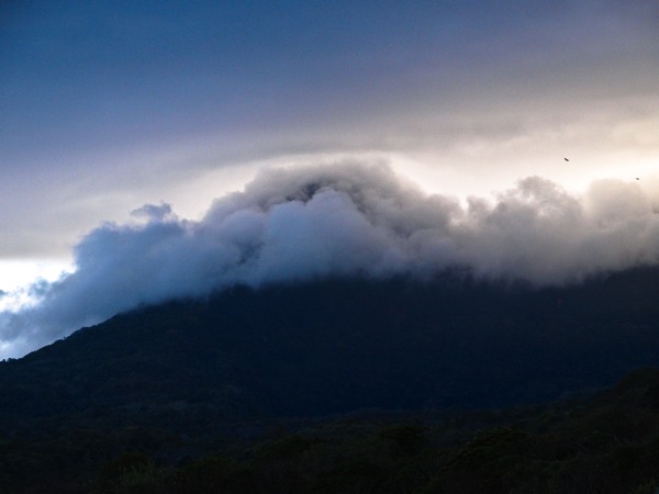 20110216-E3164967.jpg