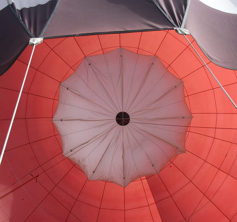 Balloon_F35273-01-C1-S800.jpg