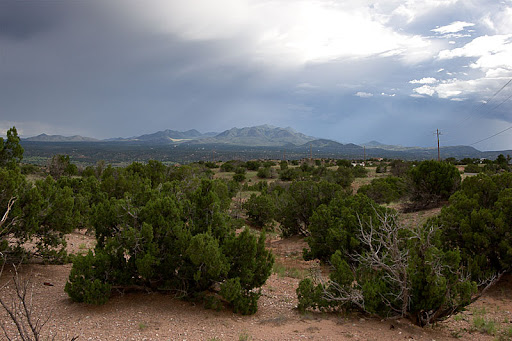 _MG_9580.jpg