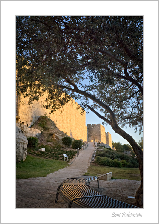 walls_dusk.jpg