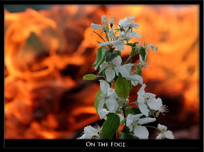 ontheedge-1.jpg