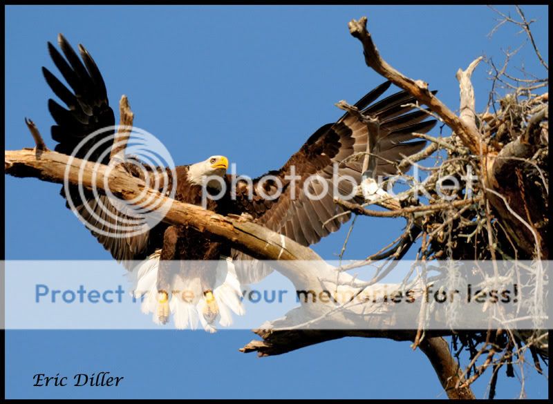 PIC_7250copy.jpg
