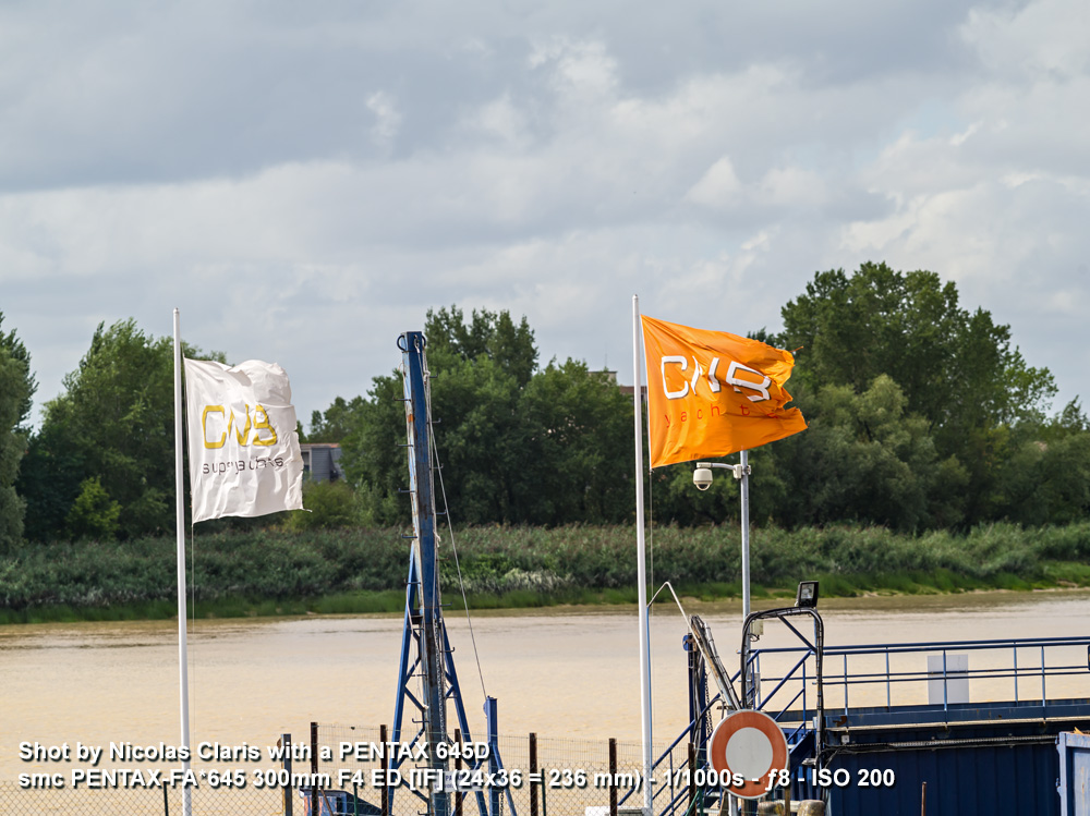 _NCL8767_LR4_1000.jpg