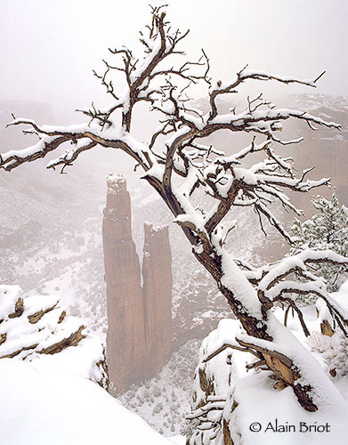 Spiderock-Snowstorm-CP2.jpg
