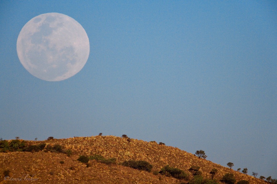 Highveld_moonrise__alternative_by_philosomatographer.jpg