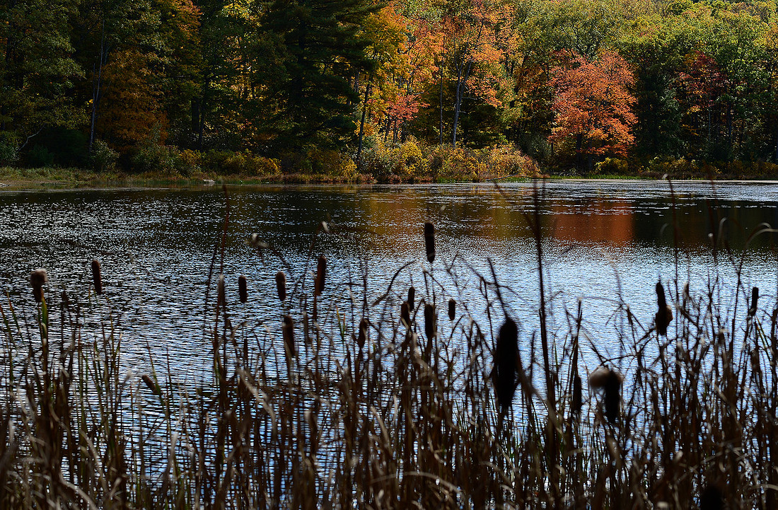 p2805567796-5.jpg