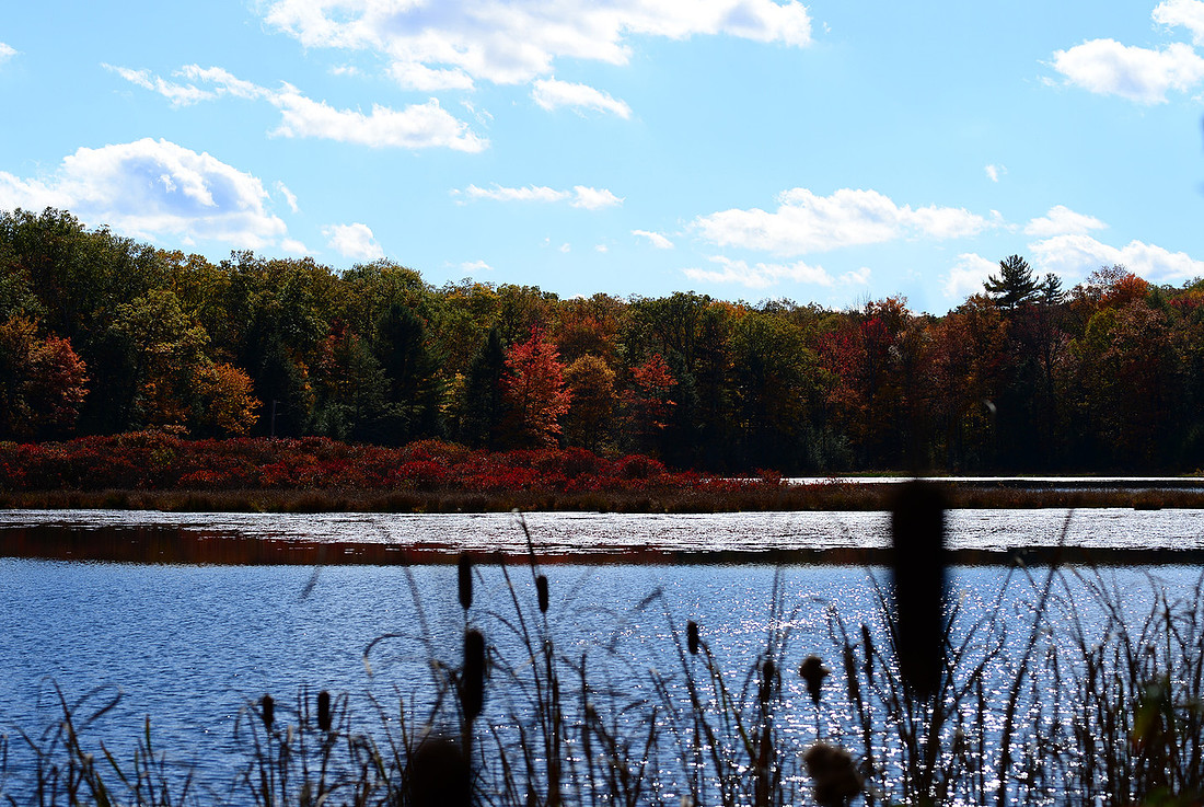 p2805567803-5.jpg