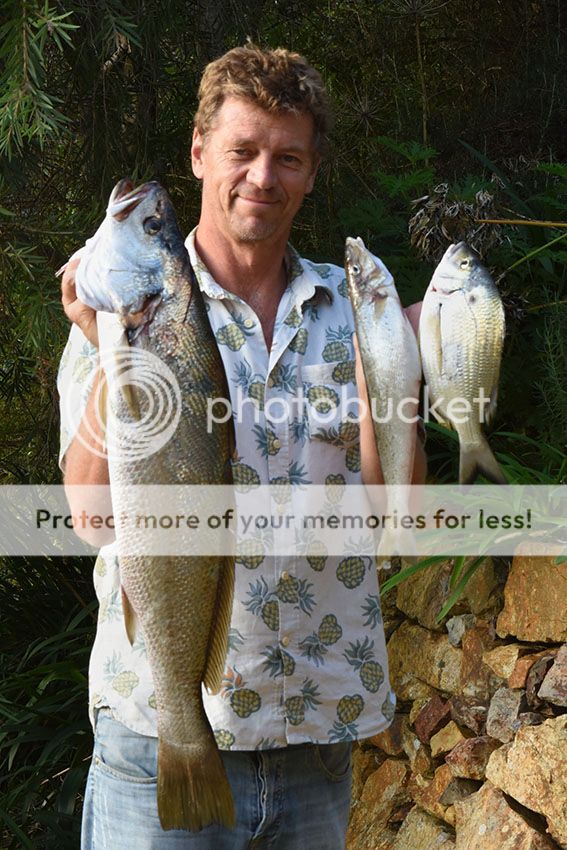 DSC_2570%20mulloway%20screen%20size_zps9mwrluyz.jpg