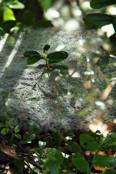 _img900.jpg