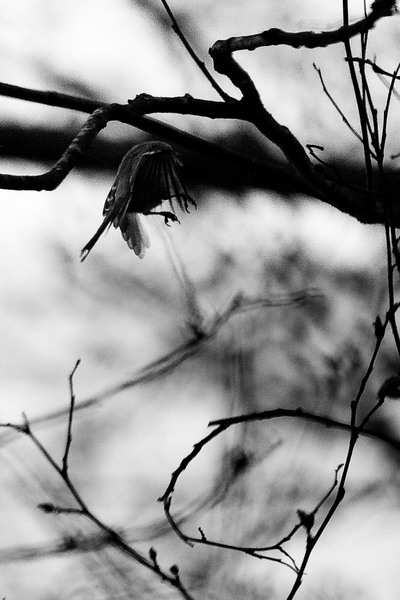 _img900.jpg