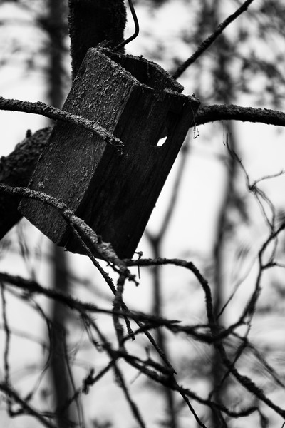 _img900.jpg