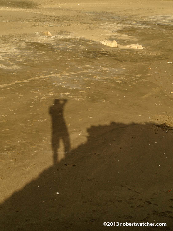 20130304-165224.jpg