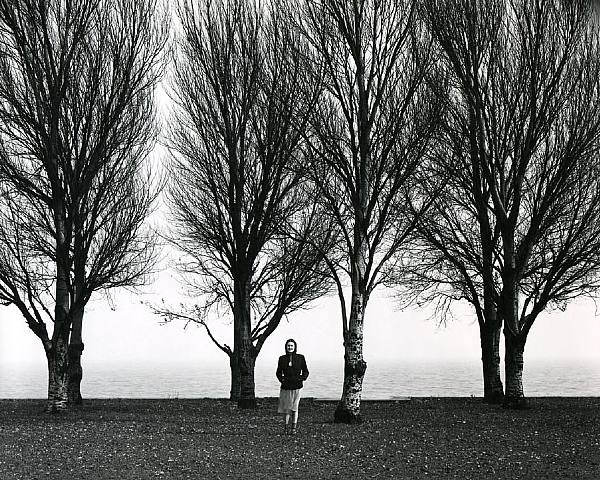 artwork_images_357_161670_harry-callahan.jpg