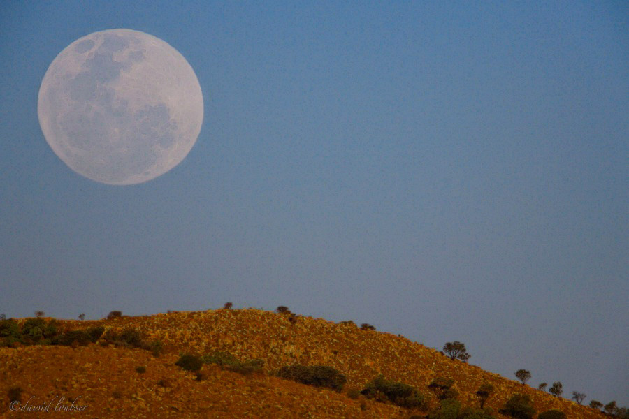 Highveld_moonriseDAWID_LOUBSTER_AK.jpg