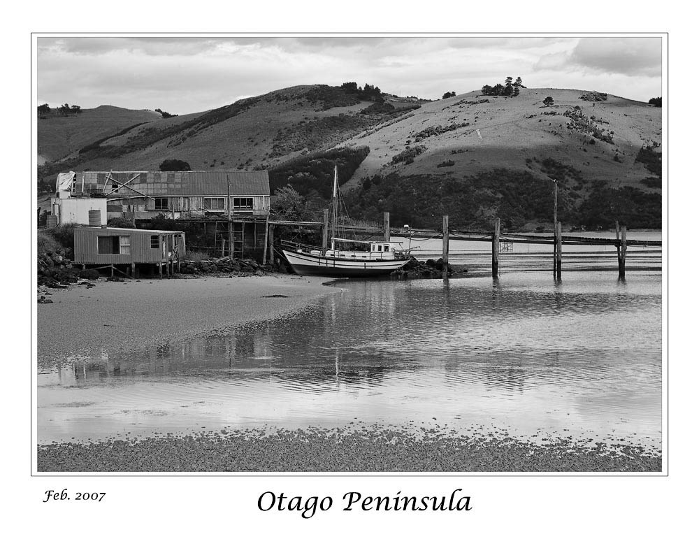 1328MG_1532Otago_all_mode_grayscale.jpg