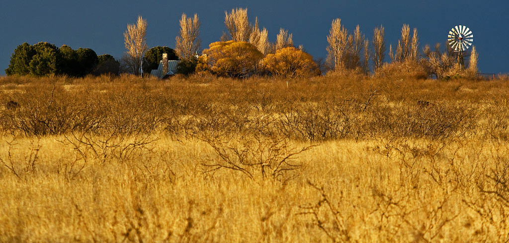 4342532708_72632851db_b_sky cro_AKpped.jpg