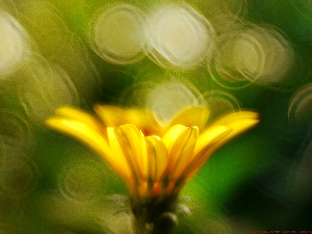 15240247358_cc0bc54a2a_o.jpg
