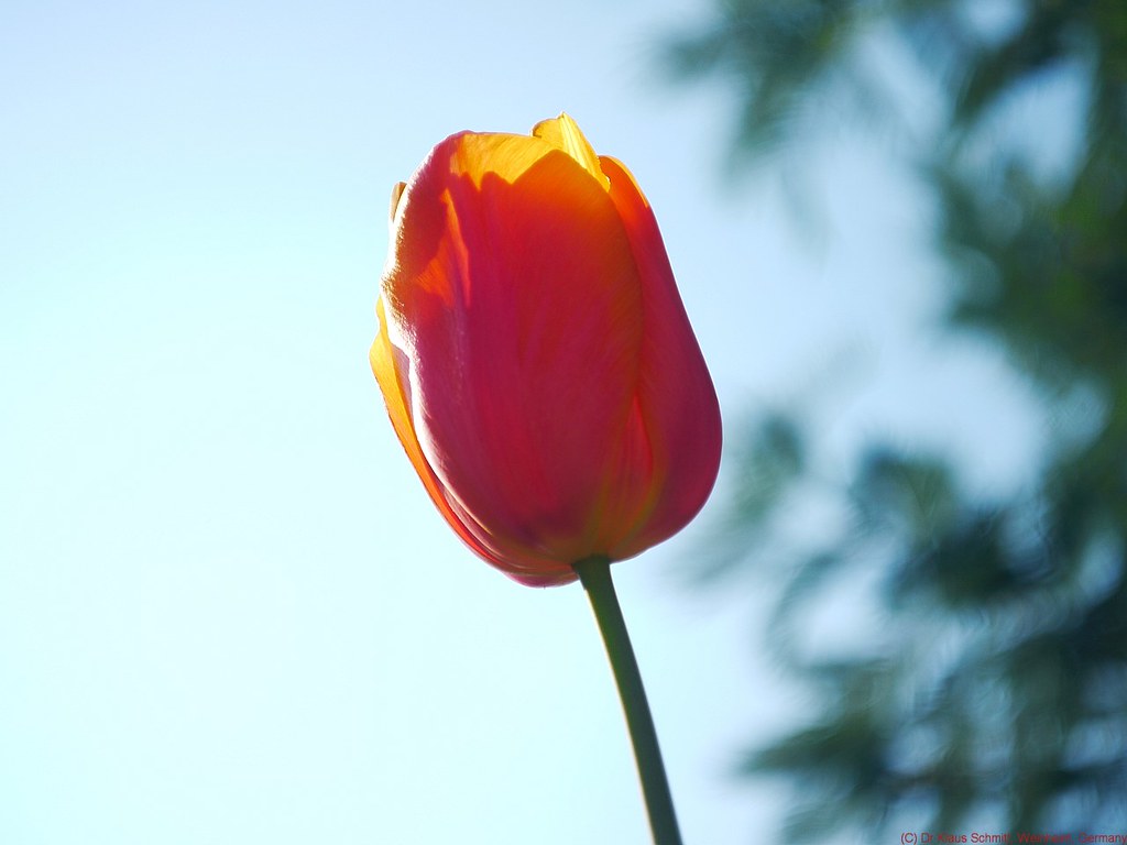 13840439403_38b6e33ede_b.jpg