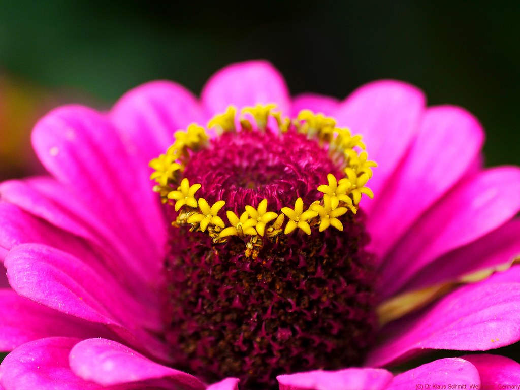 15166176636_3016806a33_b.jpg