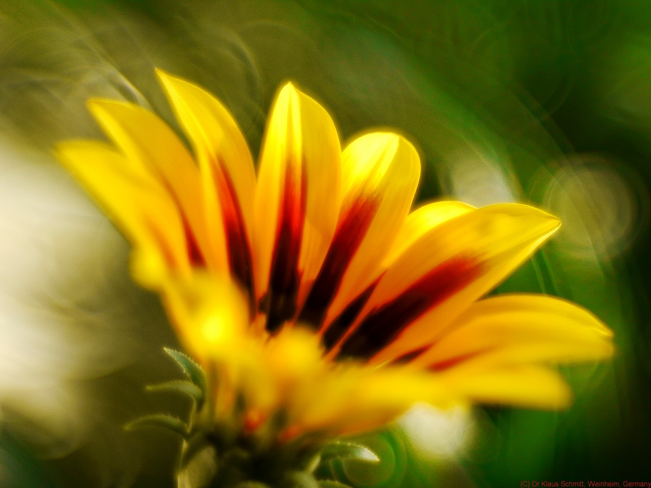 15403782466_93d60bb513_o.jpg