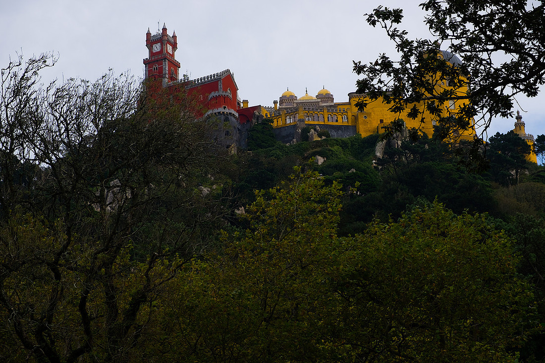 p3139401009-5.jpg
