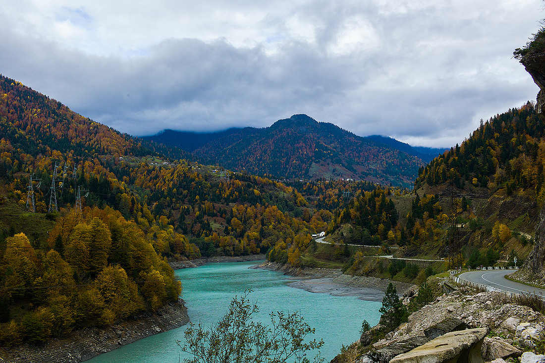 p3156223733-5.jpg