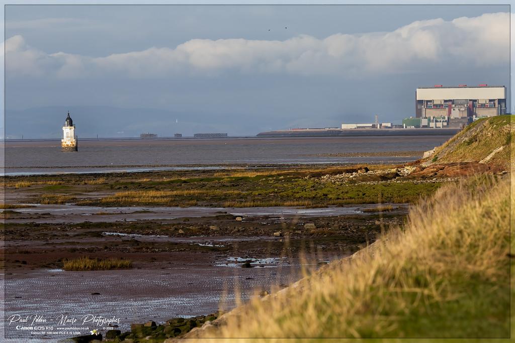 plover_heysham_a_4k-XL.jpg